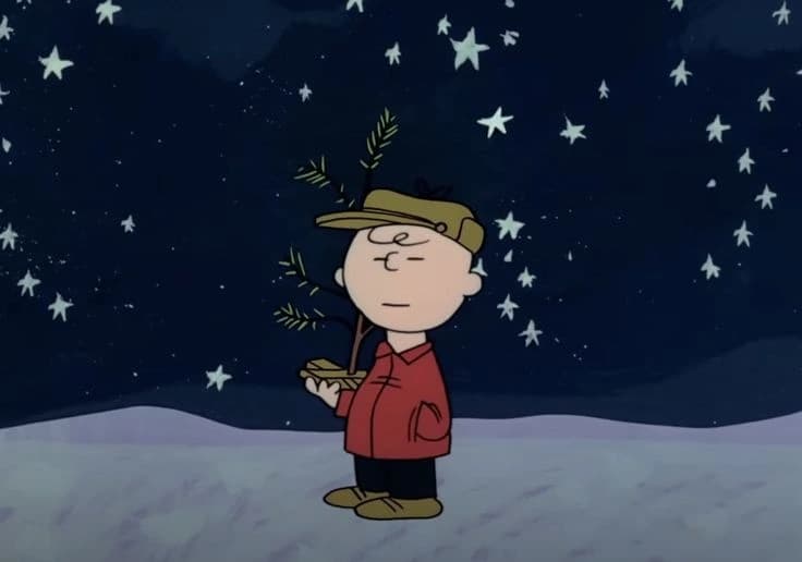 2025년을 정리하면서